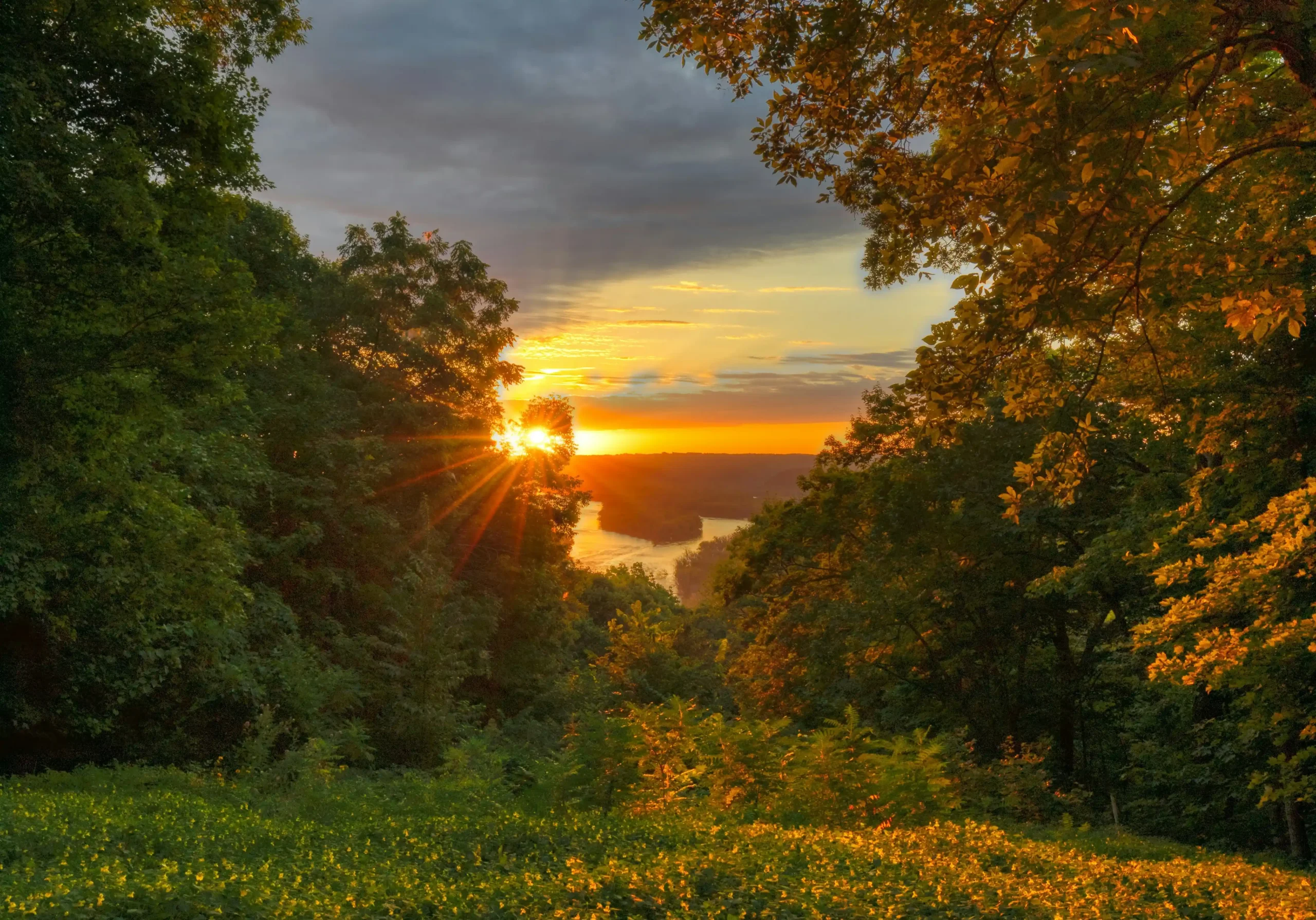 morning sunrise india